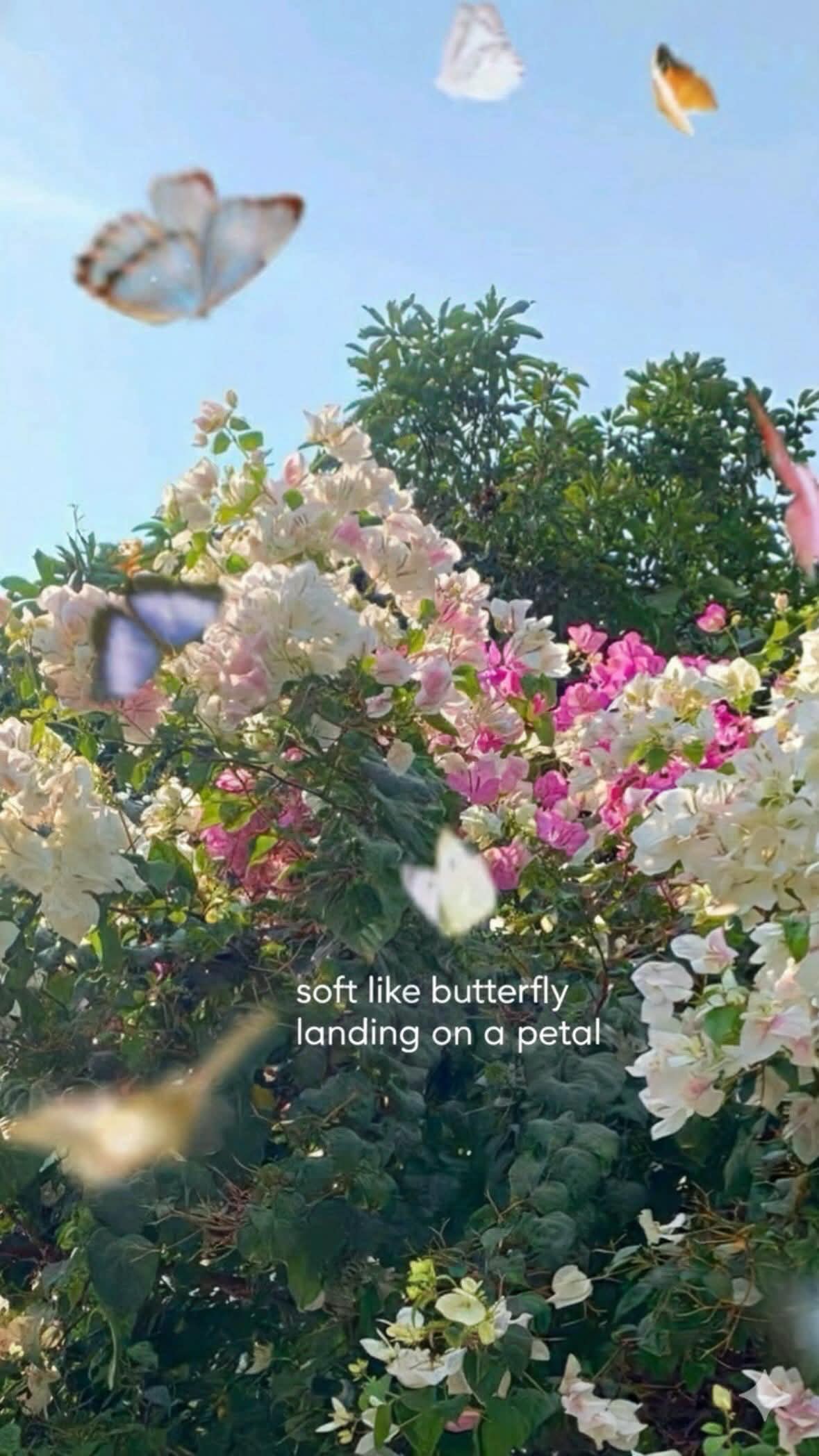 CC9 reference · 12